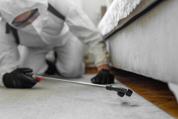 Professional Bed Bug Control technician working in Lake Delta, NY