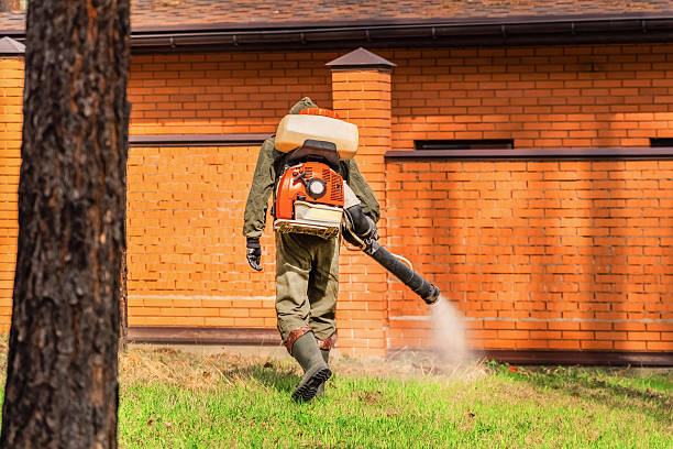 Trusted Rodent Control service in Lake Delta, NY - Nex Pest Control
